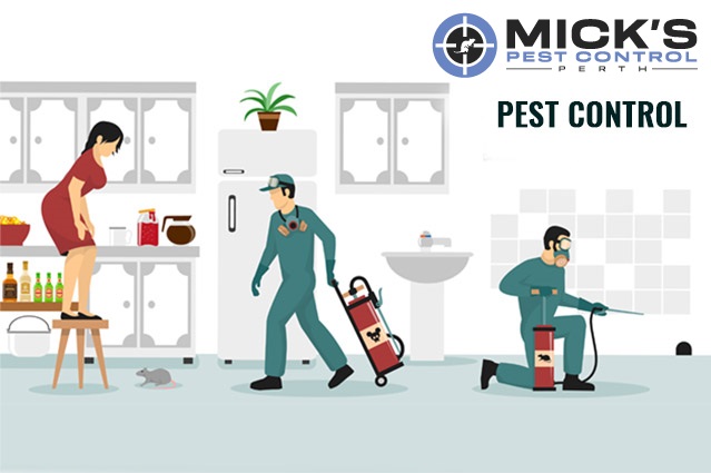 Pest-Control-Perth-1.jpg