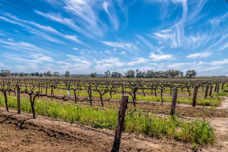 Barossa Valley